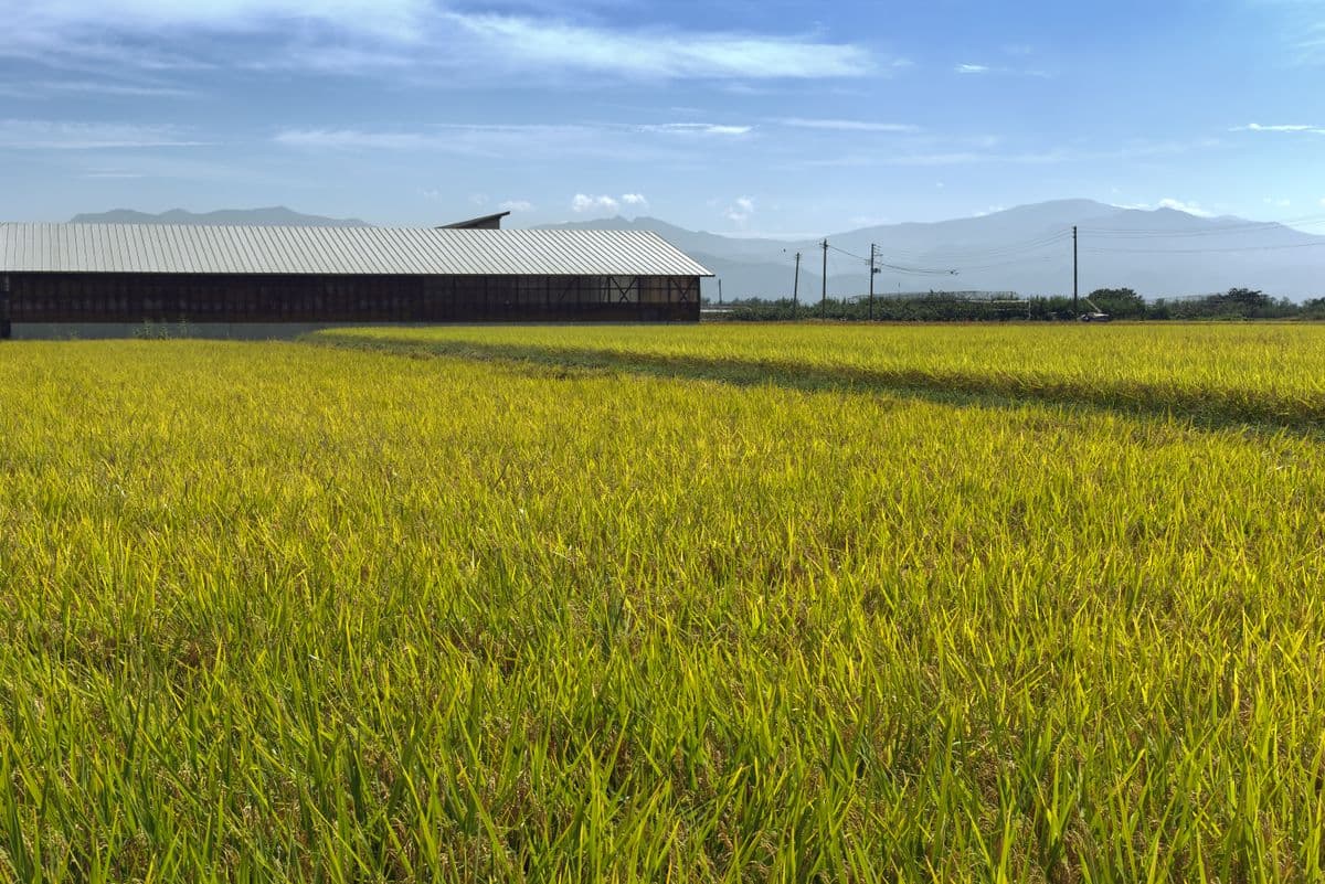 Ảnh minh hoạ chuồng trại chăn nuôi hiện đại (ảnh tư liệu, không phải công trình thật của Mô Hình Nuôi)